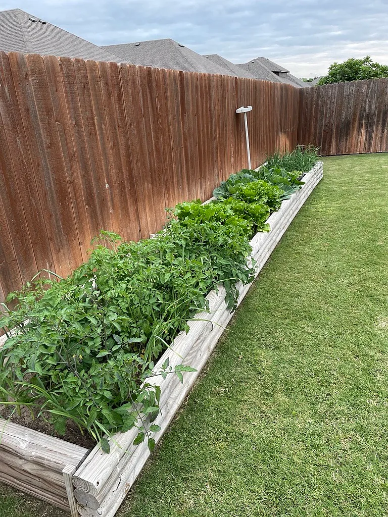 Backyard Garden - 14832 Complacent Way