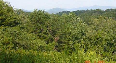 1st image of 8 Chinquapin Dr
