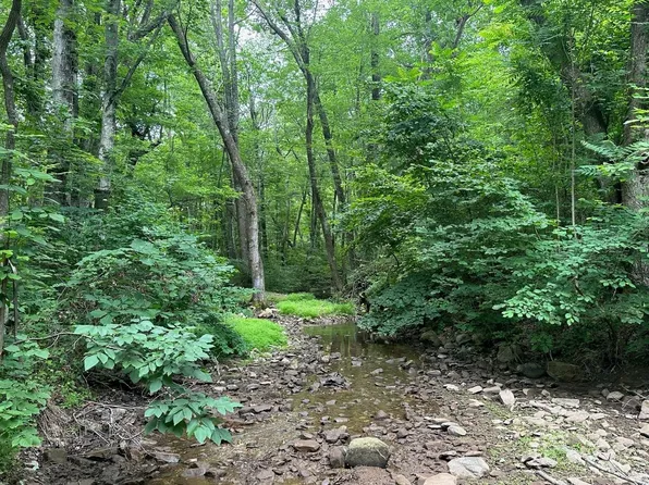 0 Two Mile Run Ln, Elkton, VA 22827