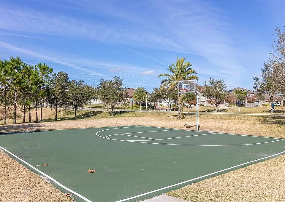 Basketball Court