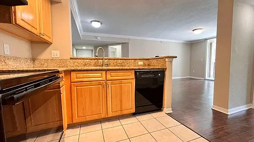 15155 Michelangelo Blvd Photo 1