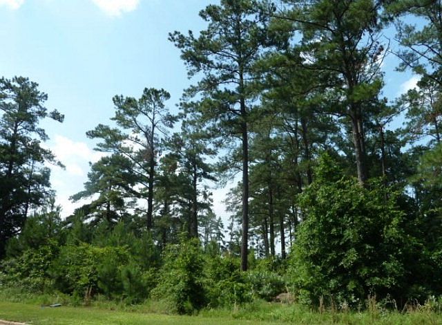 1st image of Fox Creek Dr