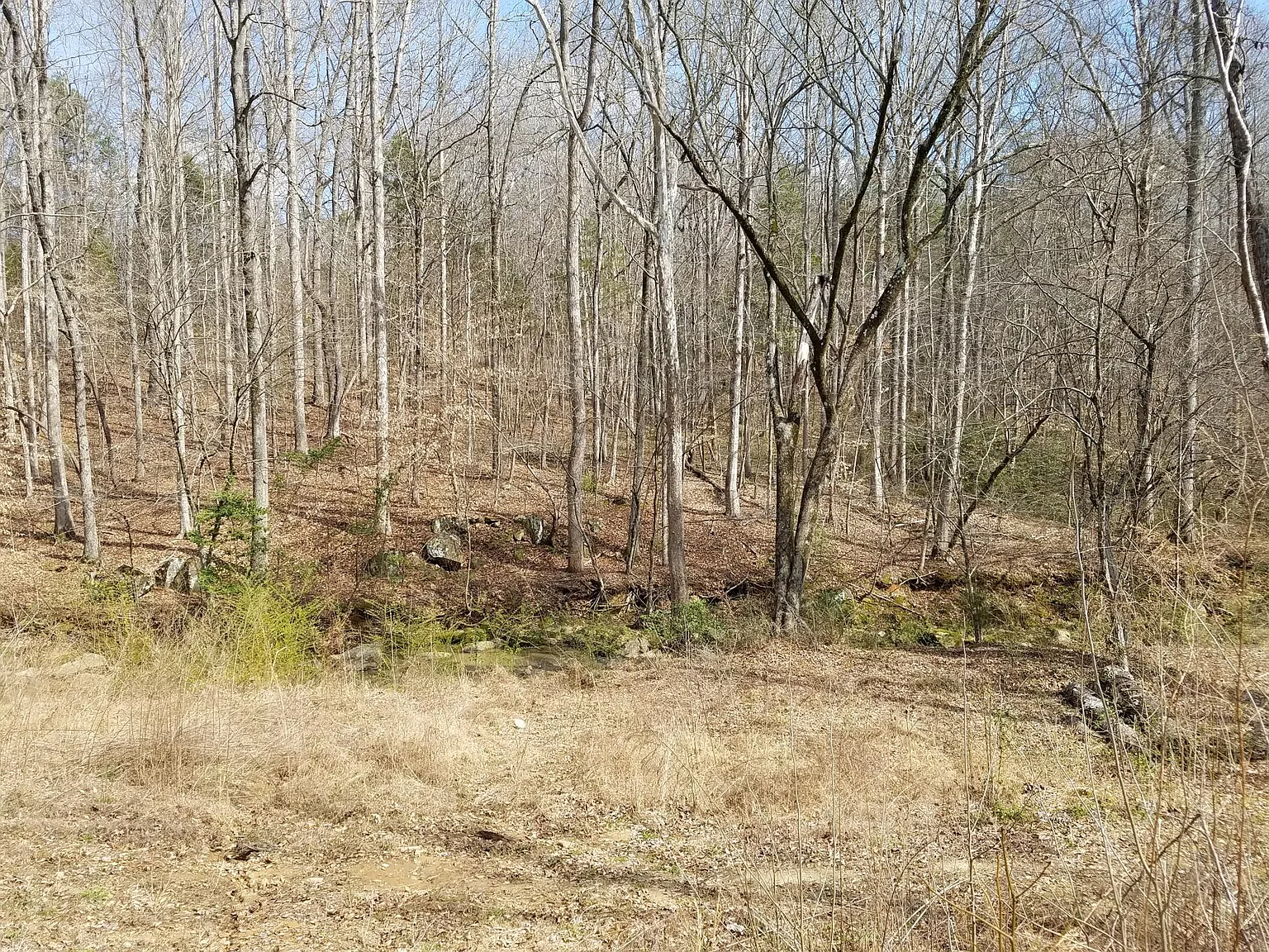 3 bed, 1216 sqft, $1,800 — Photo 4