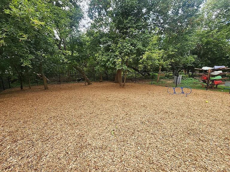 A Space for Pets & Play