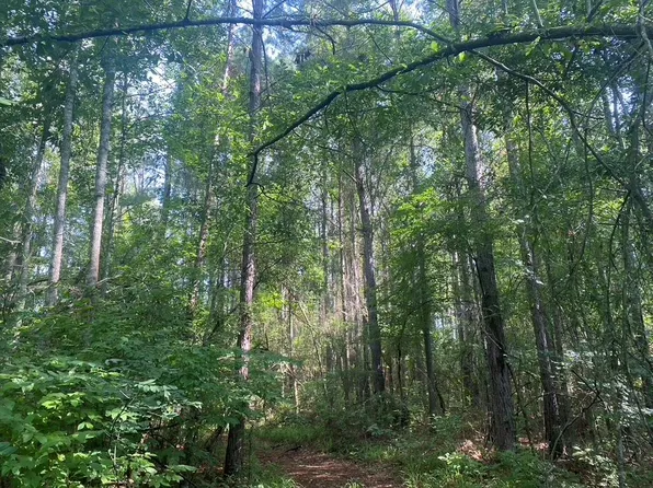 575 Jayess Rd, Jayess, MS 39641