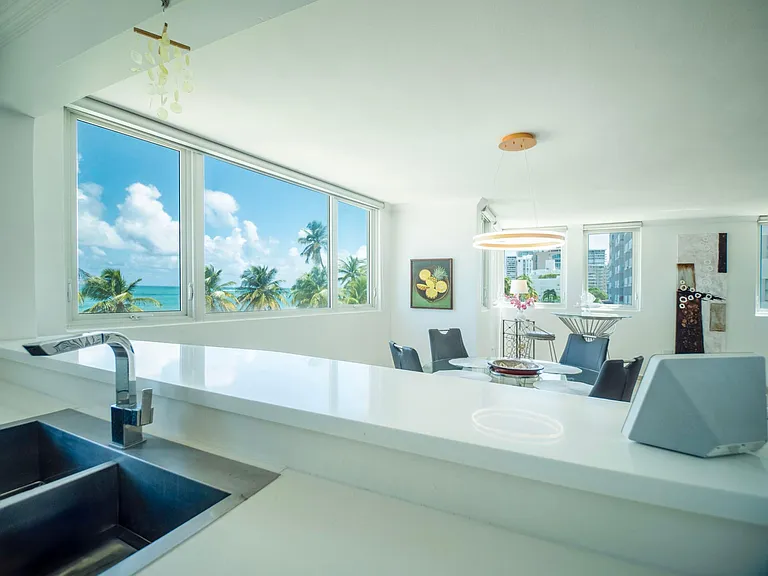 5245 Avenue Isla Verde #201 — Photo 9