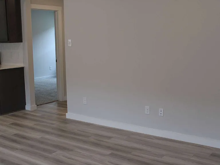 927 Lady Bird Ln — Photo 5