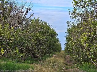 1009 Fox Lake Rd, Avon Park, FL 33825