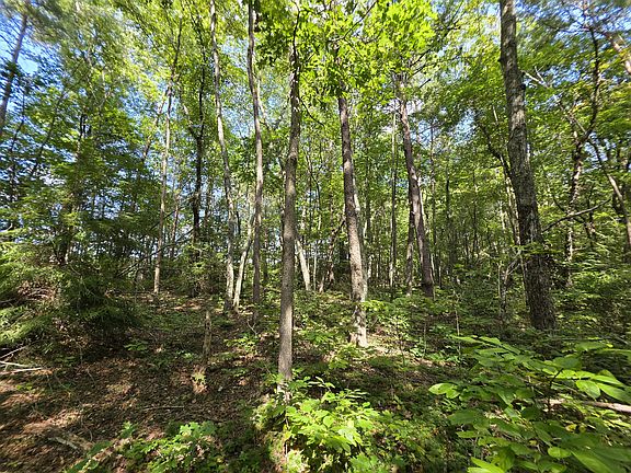 2nd image of 8 Northcutts Cove Rd