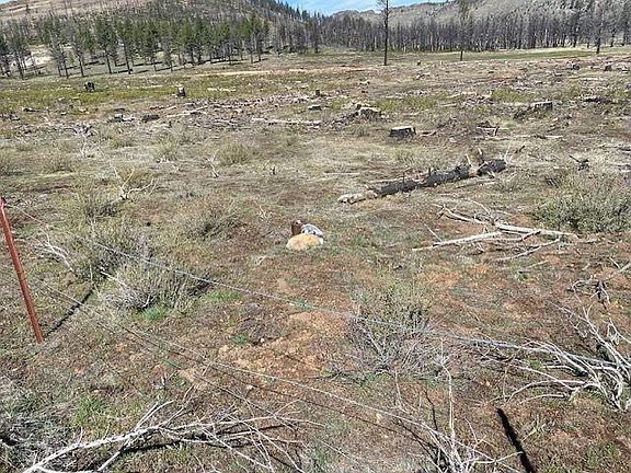 2nd image of 631 Sugarloaf Rd