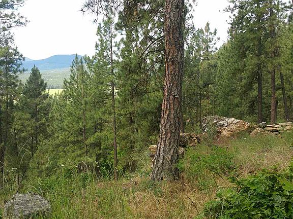 3rd image of 1763 Highway 395 S