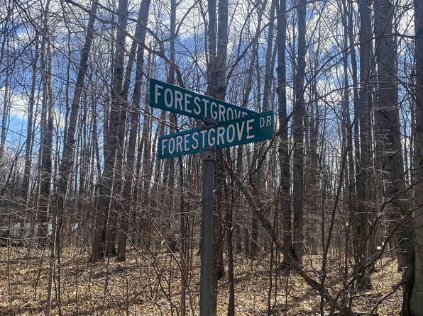 LOT 158 Forestgrove Dr, Elmira, MI 49730