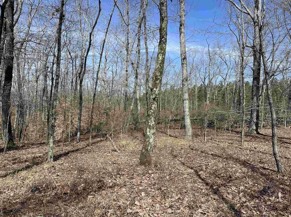11 Old Liberty Rd, Morris Chapel, TN 38361