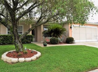 29248 Kapalua Way, San Antonio, FL 33576