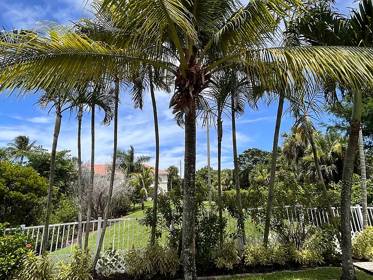 1107 Via Jardin Palm — Photo 11