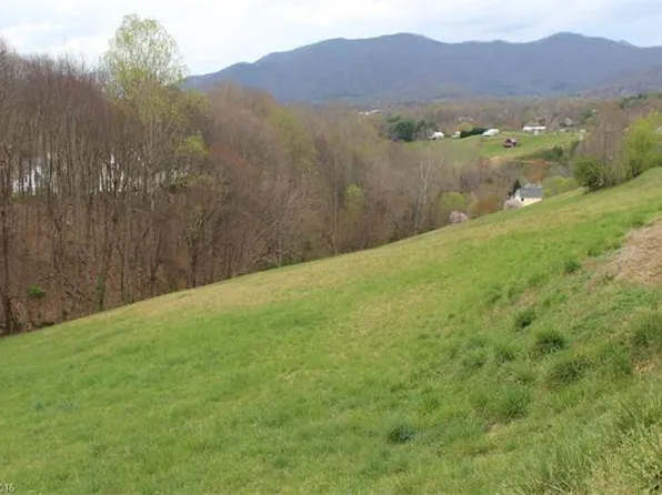 62 S Lindon Cove Rd, Candler, NC 28715