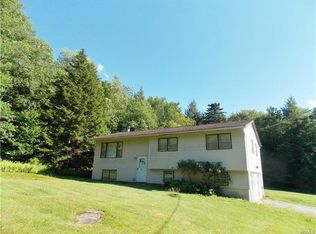 42 Cooley Mountain Rd, Parksville, NY 12768