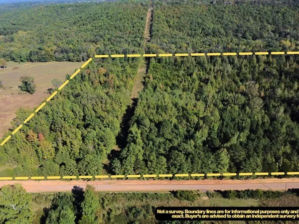 42 Long Ln, Bee Branch, AR 72013