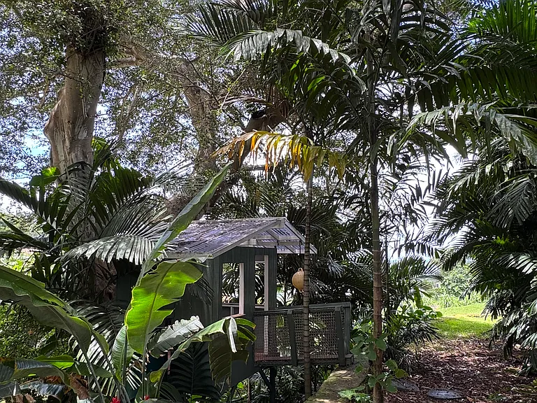 treehouse on property
