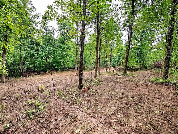 5th image of LOT 6 Burnt Cabin Rd