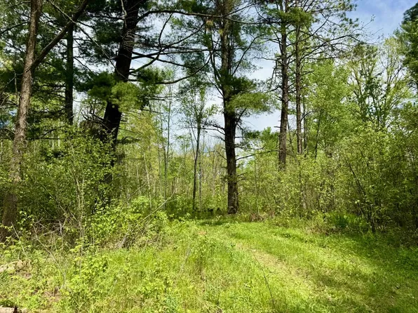 Xyz County Rd #39, Willow River, MN 55795
