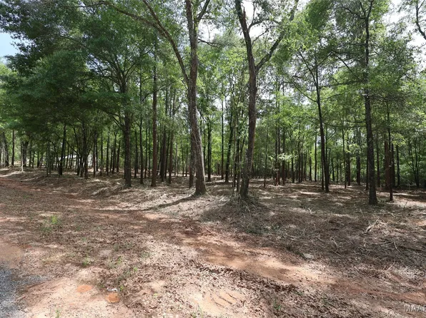 2024 County Road 156, New Brockton, AL 36351