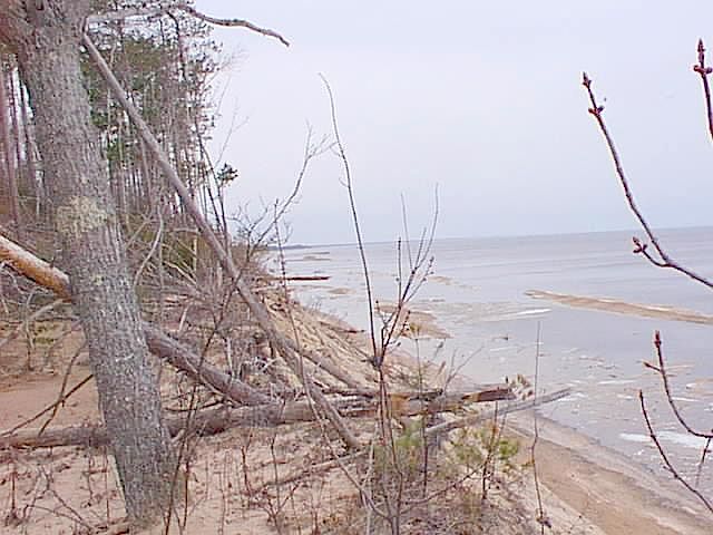 1st image of County Road 412