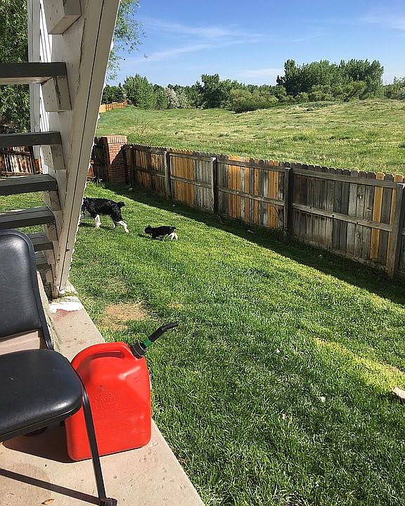 view from back patio