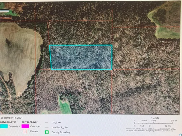 10 Armstrong Rd, Langston, AL 35755