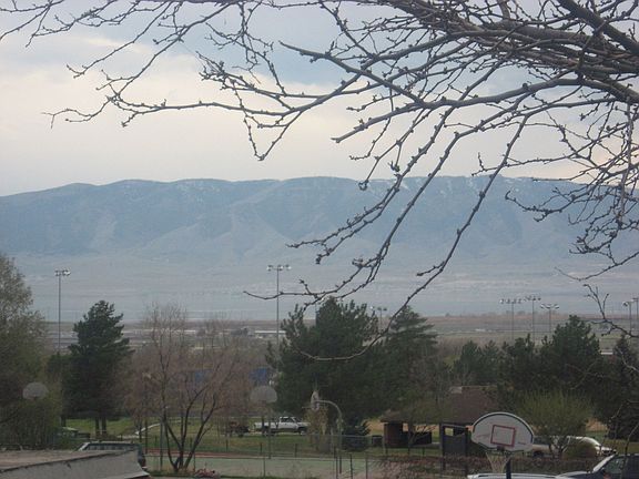 The view from living room window