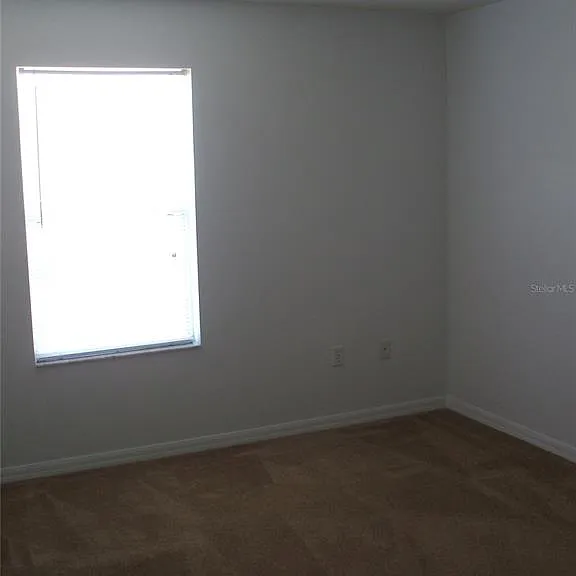 2872 Paynes Prairie Cir — Photo 13