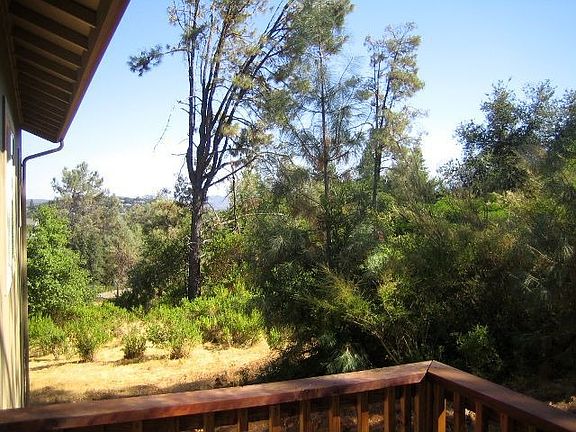 Wooded parcel