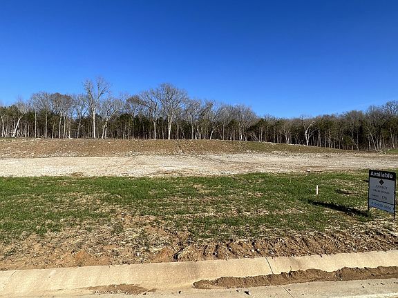 Flat, open lot with treelined back yard