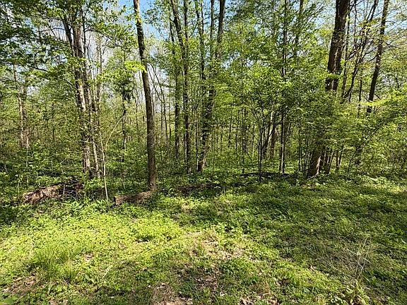 4th image of Coon Path Rd