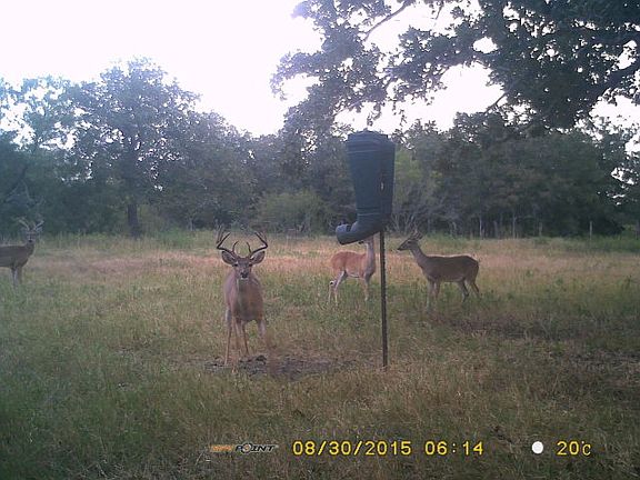 2nd image of 5057 Fm 1680 N