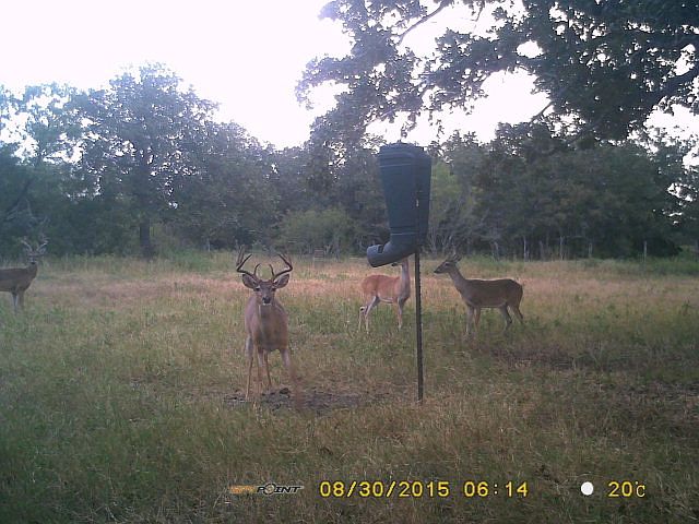 1st image of 5057 Fm 1680 N