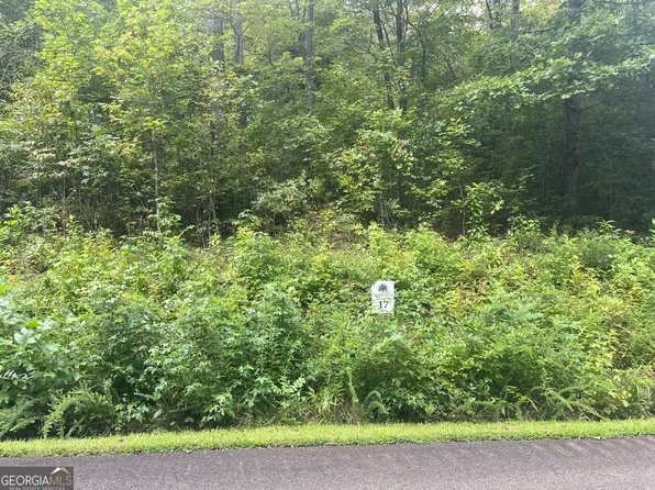 LOT 17 Staurolite Mountain Way, Blue Ridge, GA 30513