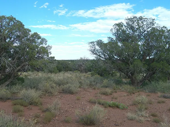 4389 Indian Bend Rd, Snowflake, AZ 85937