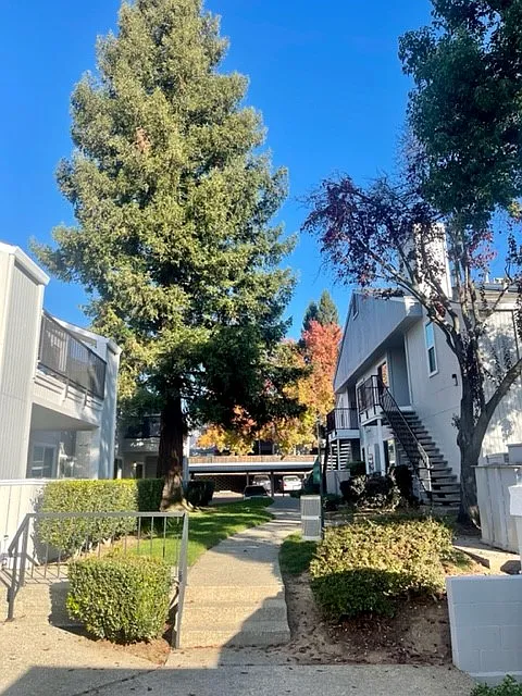 Heather Downs Apartments — Photo 3