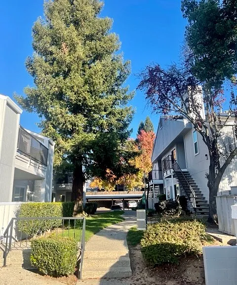 Heather Downs Apartments — Photo 3