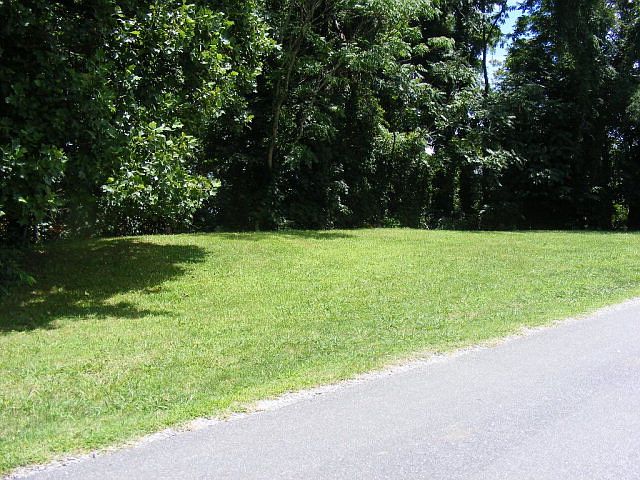 2nd image of Buena Vista Ave