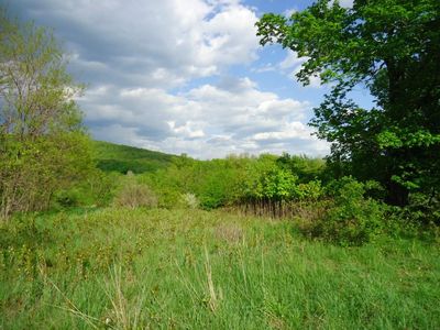 Crescent Avenue, Highland, NY, 12528