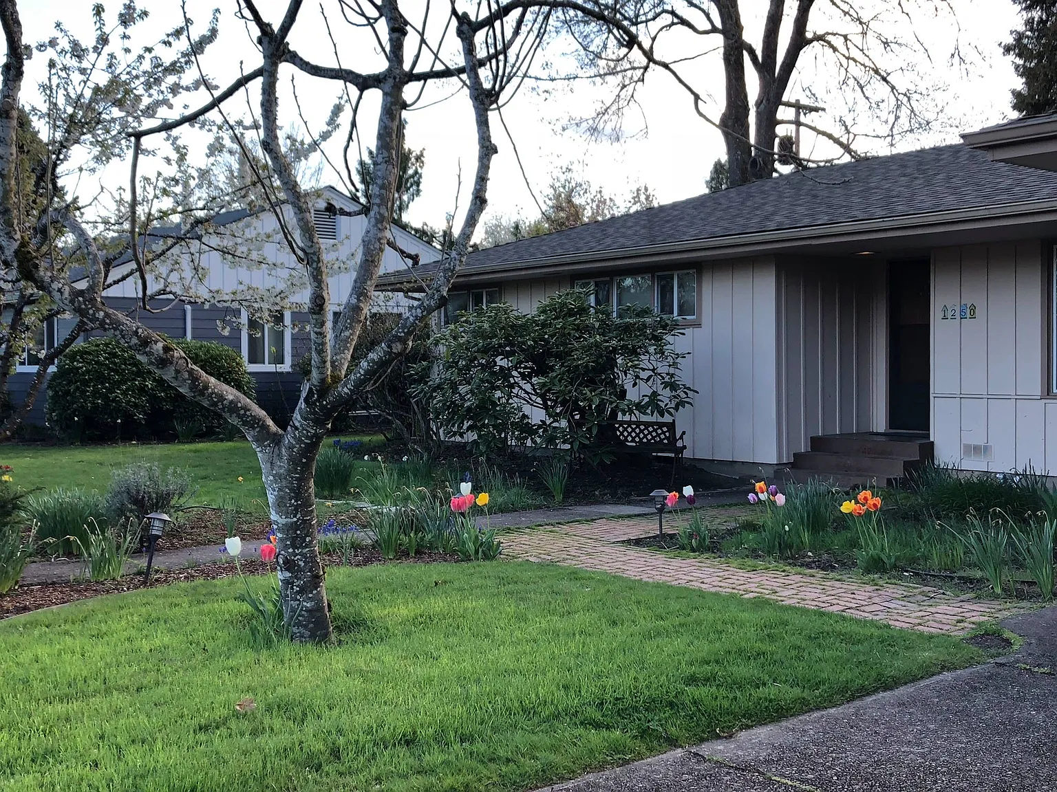 5 bed, 2015 sqft, $750 — Photo 4