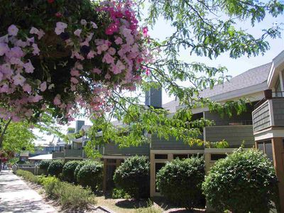 101 Michigan Ave #210, Charlevoix, MI, 49720