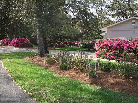 Side Garden