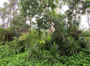 19th Ave LOT 172, Keaau, HI 96749
