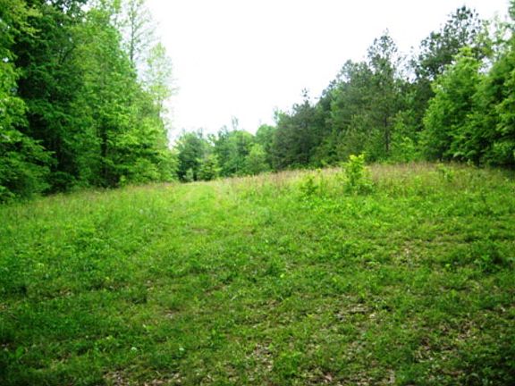 5th image of 1206 Holly Creek Dr