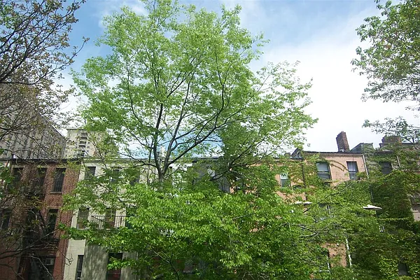 Rented by Susan Finkel, LREB | media 19