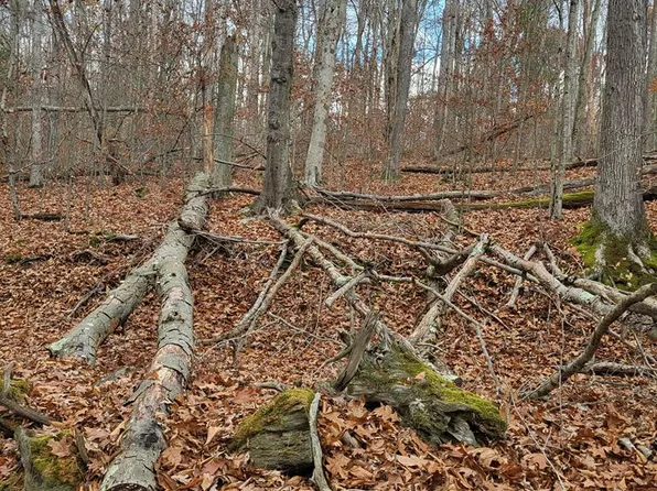 0 Hollow Ln, Leeper, PA 16233