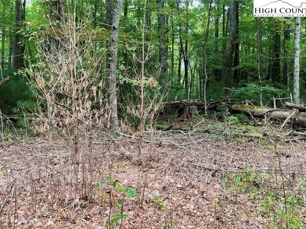 TBD Oak Tree Lane, Jefferson, NC 27640